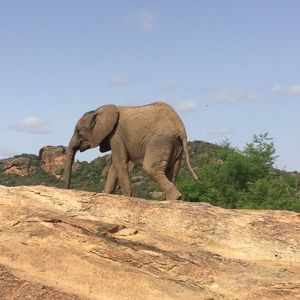 Meet your Posher, Ella